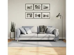 Garden Furniture Hester Alfombra de pelo corto suave lavable HUARTE 100x200 cm Gris Best