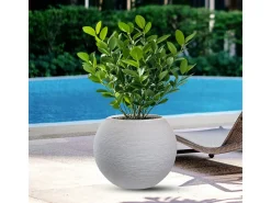 Clearance Jarrón redondo de resina en forma de esfera Botticelli para plantas de interior y exterior, 40x33 cm Beige
