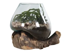 House Nordic Jarrón-Jarrón sobre base de madera de cristal 18x20 cm Transparente