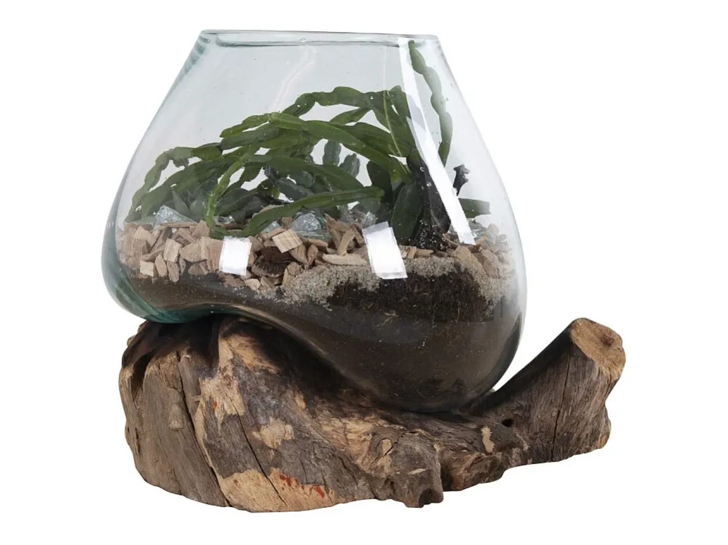 House Nordic Jarrón-Jarrón sobre base de madera de cristal 18x20 cm Transparente
