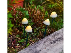 Lumisky Iluminación Exterior-Juego de 10 mini hongos solares 3.8M CHAMPY Blanco
