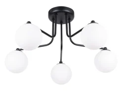 Sollux Lighting Lámpara Suspendida-Lámpara de araña Bealy minimalista de acero/vidrio - 5 fuentes luminosas 4000K - L.58 x A.29 cm - /blanco Negro