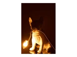 J-Line Lámpara de bulldog sintético de 26x14x28 cm Blanco New