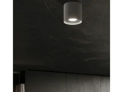Sollux Lighting Lámparas de techo Shiis minimalista de aluminio - 1 fuentes luminosas 4000K - L.12 x A.11 cm - Gris Clearance