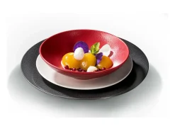 MEDARD DE NOBLAT Lote de 6 Platos Llanos Stone 27 cm - Colección Médard de Noblat Rojo Sale
