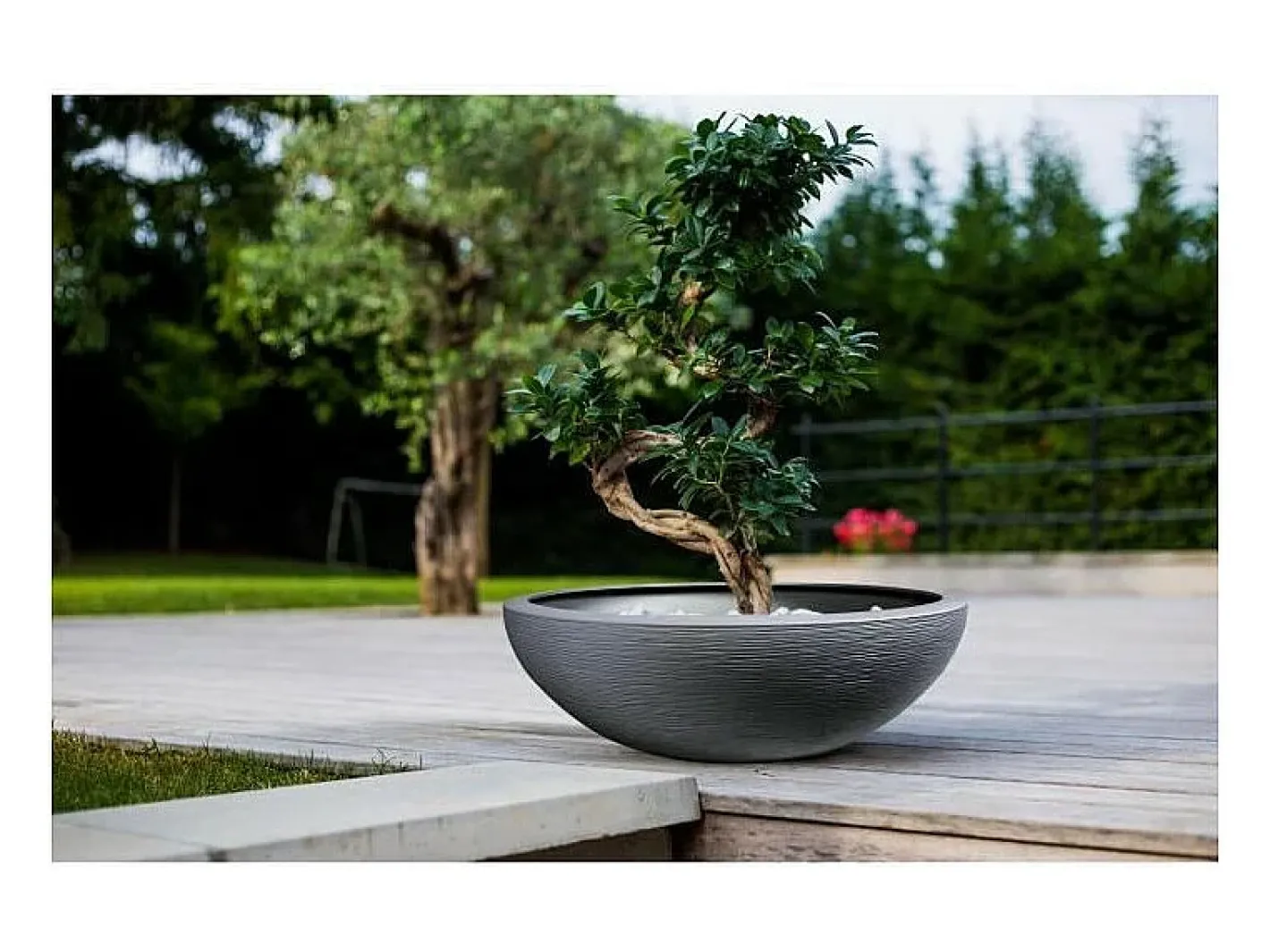 EDA Maceta cuenco de plástico Graphit UP antracita - Ø 60 cm - Gris antracita Online