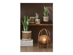 J-Line Maceta de sansevieria artificial de plástico de 10x10x36 cm Verde Online