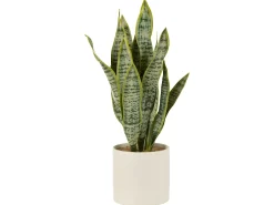 J-Line Planta Artificial-Maceta de sansevieria artificial de plástico de 16x16x59 cm Verde