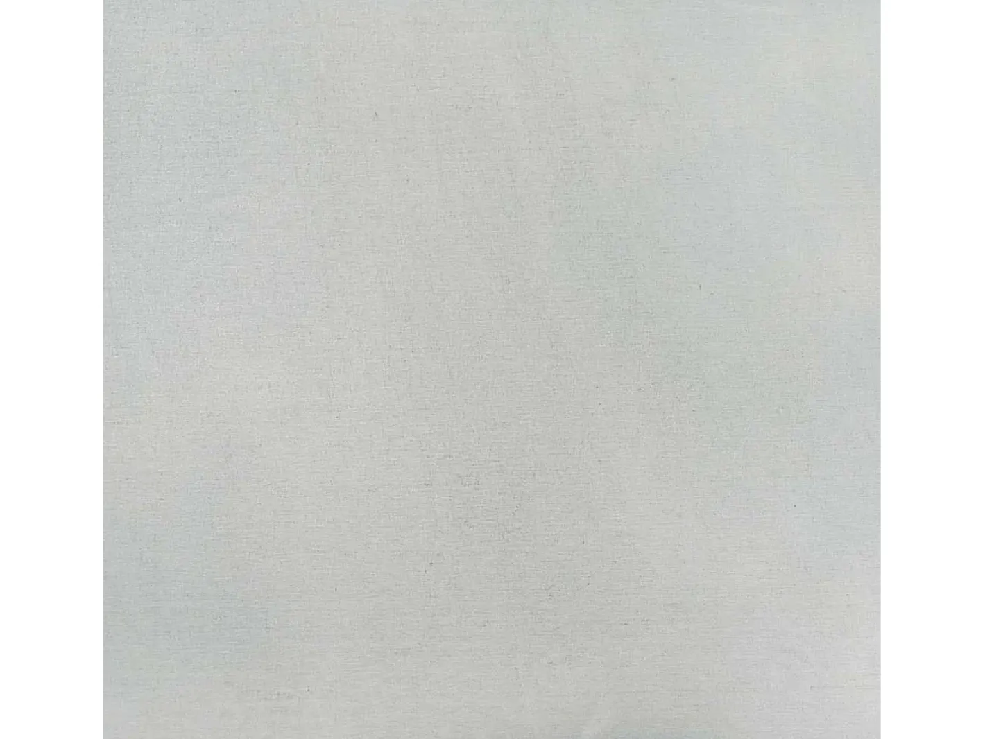 Clearance Maceta para Jardín | Jardinera | Macetero Acero galvanizado Plateado