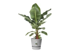 Clearance ELHO Maceta redonda 40 - Exterior Ø 39 x 36,8 cm - Living hormigón Gris
