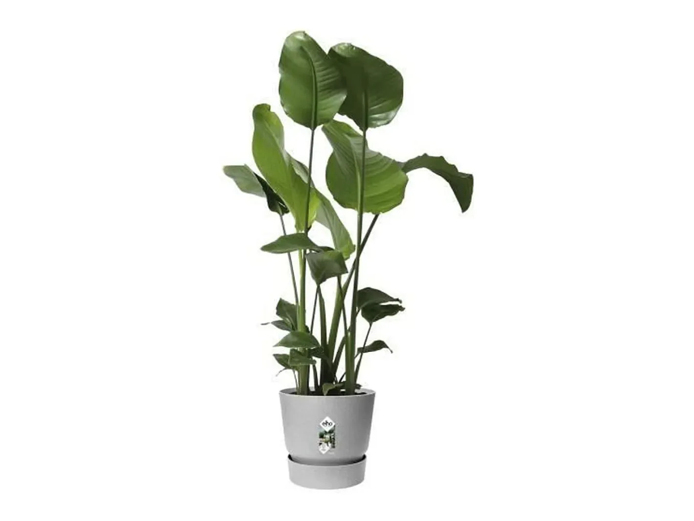 Clearance ELHO Maceta redonda 40 - Exterior Ø 39 x 36,8 cm - Living hormigón Gris