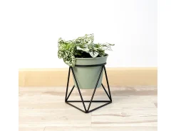 Online Macetero MOA Vinthera con base triangular claro 15x14,5x12,5 cm Verde