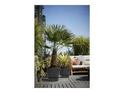 New ELHO Macetero redondo 25 - Exterior Ø 24,48 x 23,31 cm - Living Negro