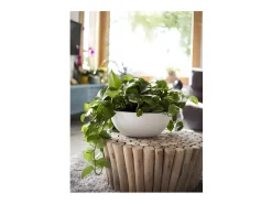 EDA Macetero-Macetero redondo de plástico Graphit Up lima Ø 40 cm 14,9 L Blanco
