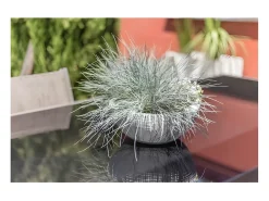 EDA Macetero-Macetero redondo de plástico Graphit Up lima Ø 40 cm 14,9 L Blanco