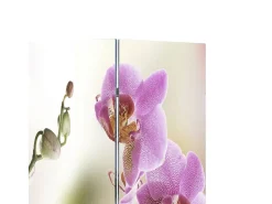 New Mampara plegable 217x170 cm Flor Multicolor