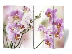 New Mampara plegable 217x170 cm Flor Multicolor