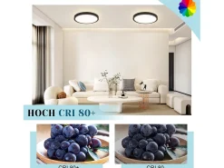 NETTLIFE - Lámpara de techo con LED plano, 18 cm - 15 W, , 4000 K - Iluminación moderna para la cocina, el pasillo y el dormitorio. Negro Hot