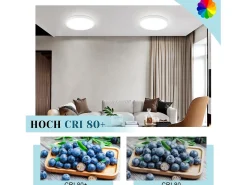 NETTLIFE , LED - Luz de techo, plana, 18 cm - 15 W, blanca, 6000 K - Iluminación moderna para la cocina, el pasillo, el dormitorio Negro