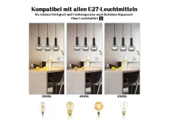 NETTLIFE Lámpara colgante vintage de 3 llamas de cristal E27, lámpara de comedor de altura ajustable industrial Negro Best