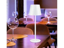 Sale NETTLIFE Lámpara de cabecera con batería inalámbrica，2 piezas - LED RGB 2600 mhA Lámpara de mesa para exteriores Lámpara de batería USB TIPO C Blanca Blanco