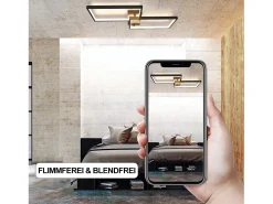 NETTLIFE Plafón-Lámpara de Techo LED Regulable con Control Remoto 40W Lámpara de Dormitorio de Diseño Moderno de Metal Lámpara de para Dormitorio Negro