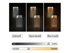 NETTLIFE Plafón-Lámpara de Techo LED Regulable con Control Remoto 40W Lámpara de Dormitorio de Diseño Moderno de Metal Lámpara de para Dormitorio Negro