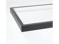 NETTLIFE Plafón-Lámpara de Techo LED Regulable con Control Remoto 40W Lámpara de Dormitorio de Diseño Moderno de Metal Lámpara de para Dormitorio Negro