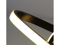 NETTLIFE Lámpara de techo LED Blanco Caliente - 17W, Lámpara Negra, Lámpara de Cocina Moderna Pequeña 3000K para Habitación de Niños, Salón Negro Hot