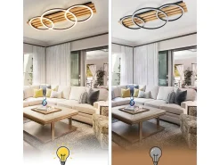 NETTLIFE Plafón-Lámpara de techo LED regulable: 70 cm, lámpara de salón, 46 W, lámpara de dormitorio moderna, iluminación de techo negra con control remoto, Plateado