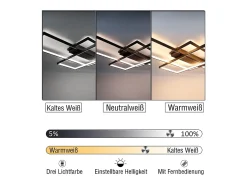 NETTLIFE Plafón-Lámpara techo ajustable 100x70x8cm, 3 LED negras cuadradas, Control remoto, Iluminación acrílica 88W Negro