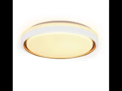 NETTLIFE Luz de Techo LED 18W 30cm Dormitorio Regulable con Control Remoto Cocina Lámpara de Cocina Redonda Moderna para Sala de Estar Pasillo Blanco Hot