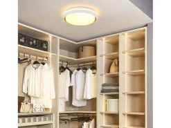 NETTLIFE Luz de Techo LED 18W 30cm Dormitorio Regulable con Control Remoto Cocina Lámpara de Cocina Redonda Moderna para Sala de Estar Pasillo Blanco Hot