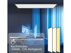 NETTLIFE Plafón-Plafonero LED 120 x 30 - Panel de techo de intensidad variable, lámpara de luz diurna larga, escritorio plano con mando a distancia, 40 W Negro