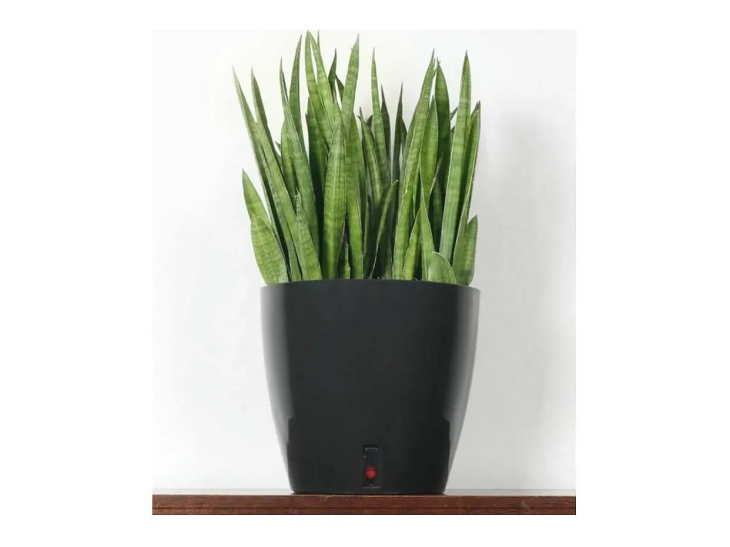 Riviera Olla redonda de plástico con reserva de agua 35 cm Eva Topo Hot