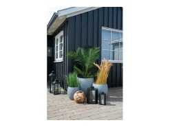 Clearance House Nordic Palma artificial 175 cm Verde