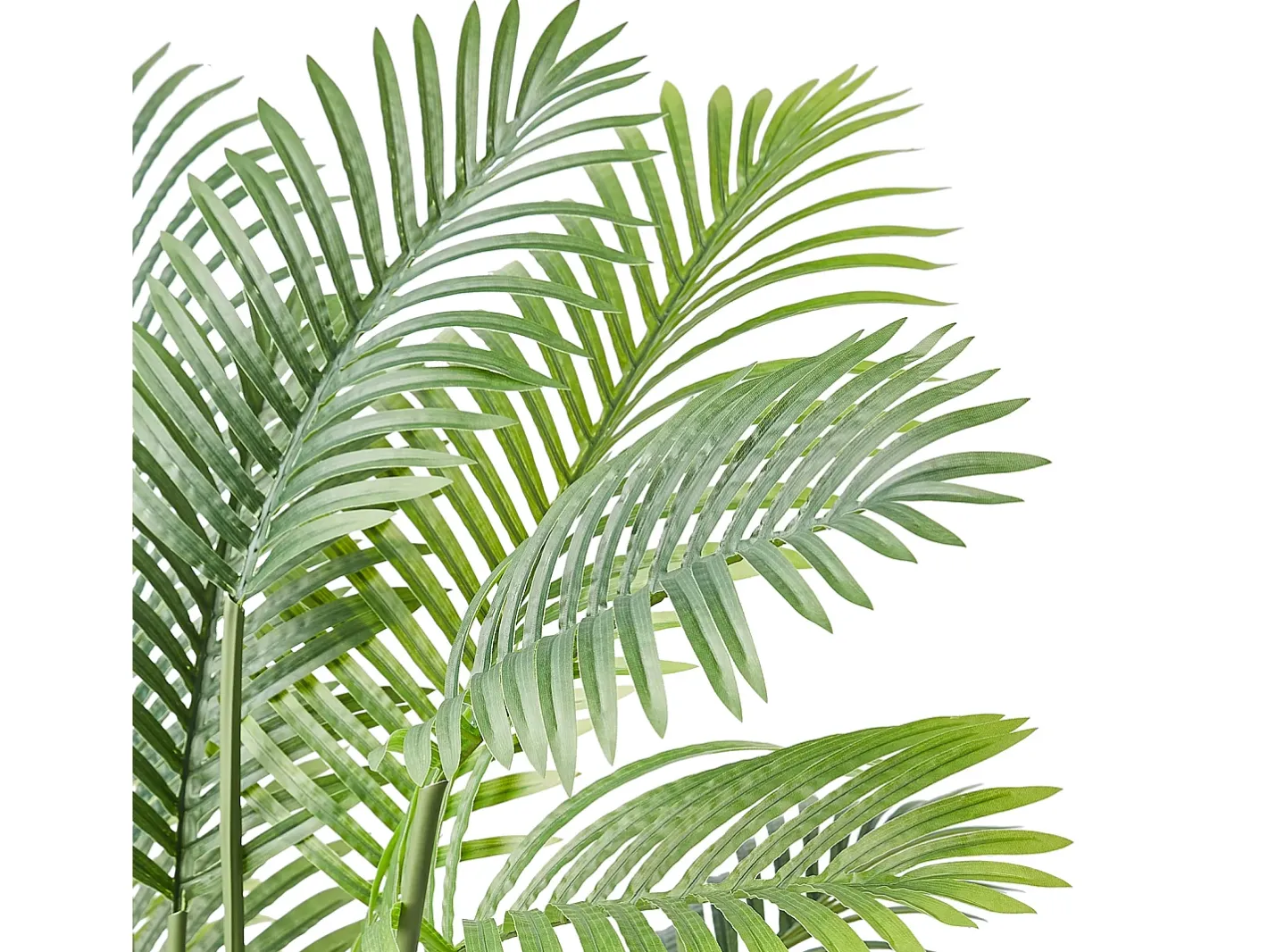 Planta Artificial-Palmera Artificial de Caña Dorada de 2 m de SucceBuy, Decoración Vegetal Realista de Imitación Verde