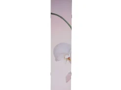 MCW Pantalla fotográfica Bagheria, Orquídea Rosa / Blanco Online