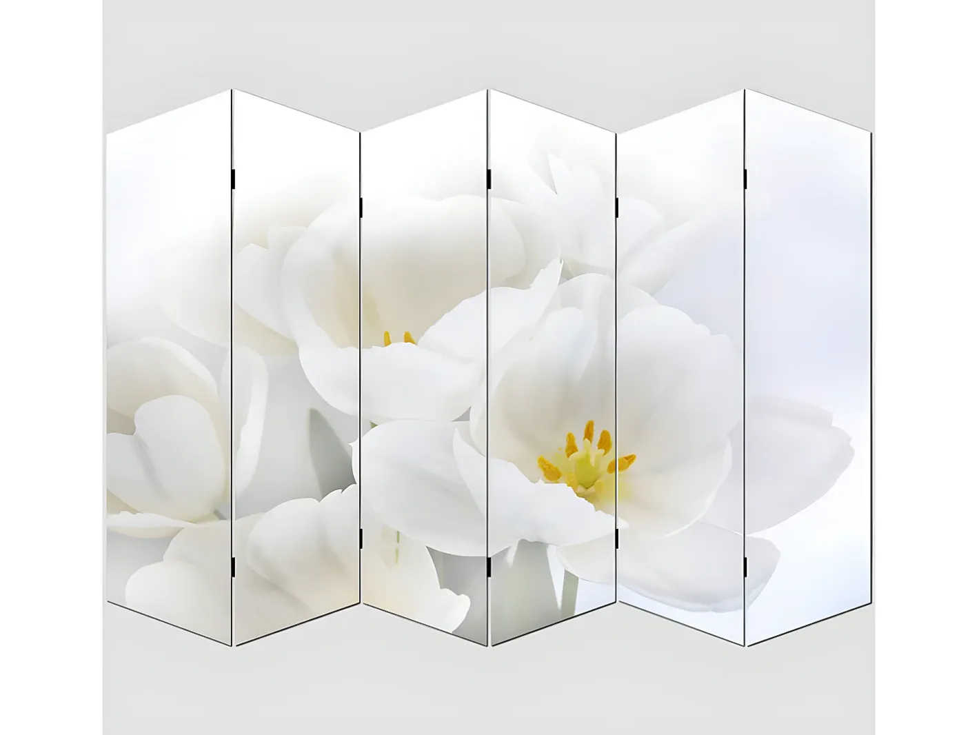 MCW Pantalla fotográfica Bagheria, 180x240cm, Orquídea Rosa / Blanco Discount