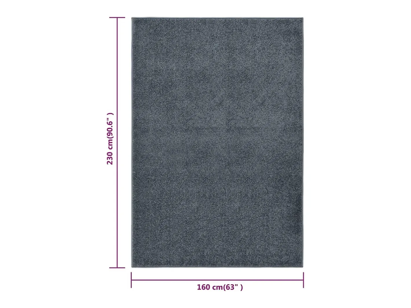 Garden Furniture Phoebe Alfombra de pelo corto 160x230 cm Gris antracita