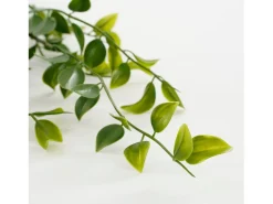 Best Mobilibrico Planta artificial colgante de Polipropileno - 24 x 10 x 81 - - FICUS Verde