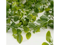 Best Mobilibrico Planta artificial colgante de Polipropileno - 24 x 10 x 81 - - FICUS Verde