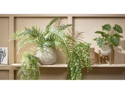 Best Mobilibrico Planta artificial colgante de Polipropileno - 24 x 10 x 81 - - FICUS Verde