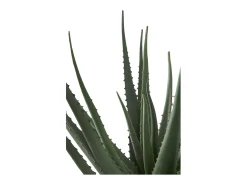 House Nordic Planta Artificial-Planta artificial de aloe vera verde 51 cm Multicolor