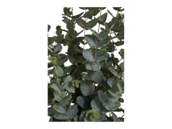 House Nordic Planta Artificial-Planta artificial de eucalipto verde 120 cm Multicolor
