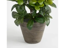 Mobilibrico Planta artificial de Poliéster y terracota - 27 x Ø20 - - AZALEA Blanco