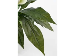 Planta Artificial-Planta artificial de Poliéster y terracota - 50 x Ø40 - - SPATHIPHYLLUM Blanco