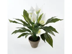 Planta Artificial-Planta artificial de Poliéster y terracota - 50 x Ø40 - - SPATHIPHYLLUM Blanco