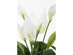 Planta Artificial-Planta artificial de Poliéster y terracota - 50 x Ø40 - - SPATHIPHYLLUM Blanco