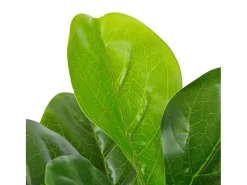 Hot Planta artificial ficus con macetero 90 cm ES730167 Verde